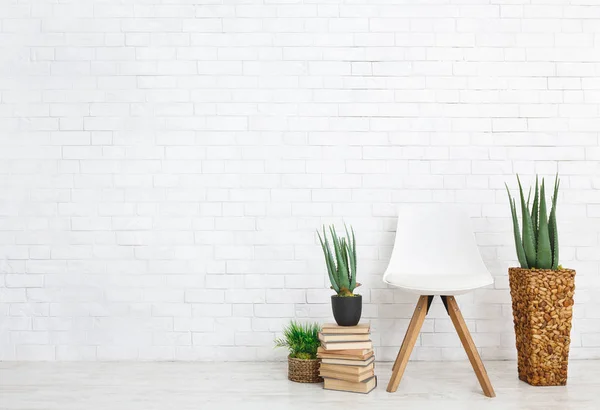 Rośliny wewnętrzne i krzesło na białym tle — Zdjęcie stockowe