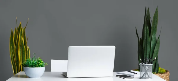 Lugar de trabajo con plantas caseras — Foto de Stock