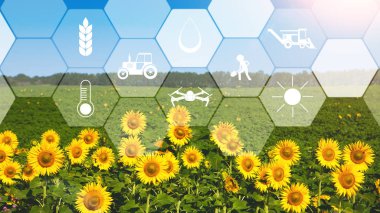 Akıllı tarım ve modern teknoloji kavramı
