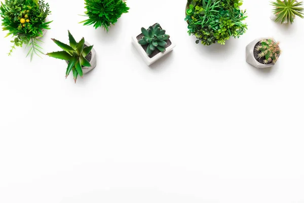 Pequeñas plantas artificiales en macetas sobre fondo blanco — Foto de Stock