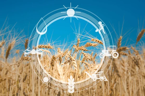 Icone sensore digitale per la gestione e il monitoraggio dell'agricoltura — Foto Stock