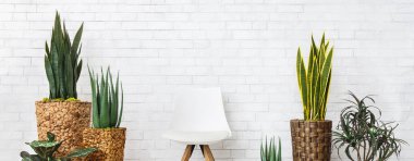 Ev Bahçesi Konsepti