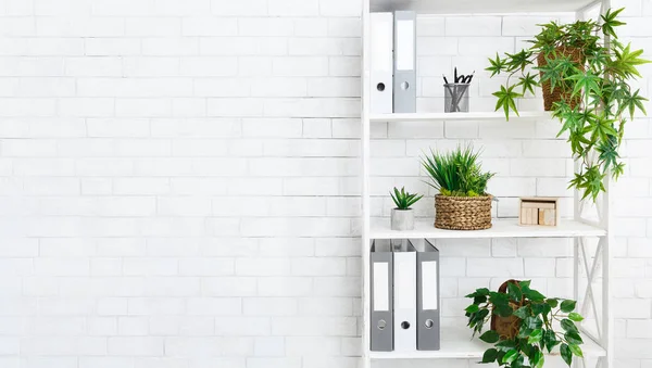 Stand con plantas y carpetas de la casa, espacio de copia — Foto de Stock