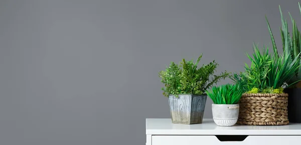 Office Gardening Konzept — Stockfoto