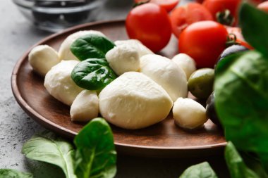 Mozzarella peyniri, domates ve fesleğen plaka üzerinde.