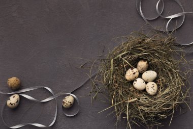 Paskalya geçmişi. Gri taş yüzeyde yuvada bıldırcın yumurtası