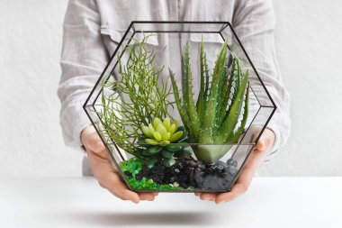 Cam florarium mini etli Bahçe tutan kadın