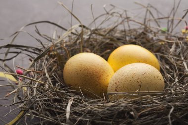 Paskalya arka plan. Renkli yumurta yuvada gri taş yüzeyi