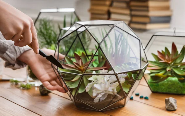 Woman planting succulents in geometric florarium, closeup — Stock Photo, Image