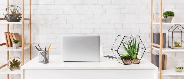 Cozy workplace. Laptop and florariums with succulent plants — Stock Photo, Image