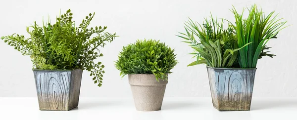 Verscheidenheid aan kunstmatige kamerplanten tegen grijze muur, gewas — Stockfoto
