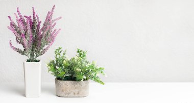Houseplant ve lavanta ışık duvar üzerinde çeşitli tencerede