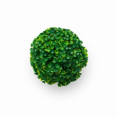 Soleirolia Gaud. Artificial potted plant isolated on white clipart