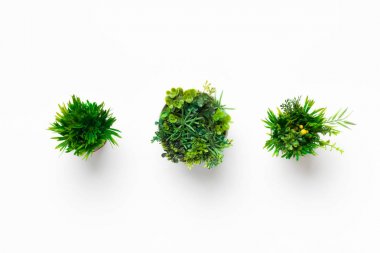 Beyaz arka plan üzerinde tencere mini yapay bitkiler