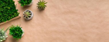 Zanaat kağıt arka plan üzerinde tencere çeşitli bitkiler