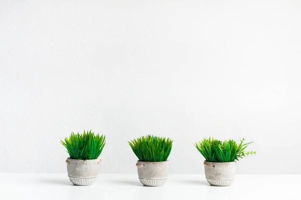 Potted artificial grassy plants against light wall — Stock Photo, Image