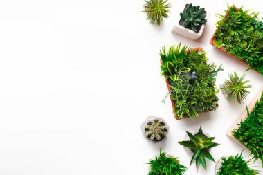 Kopyalama alanı ile beyaz arka plan üzerinde çeşitli bitkilerin kenarlığı