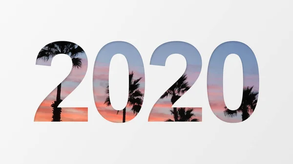 2020 di atas latar belakang palem — Stok Foto