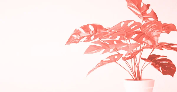 Concepto de arte pop, hojas de coral de planta — Foto de Stock