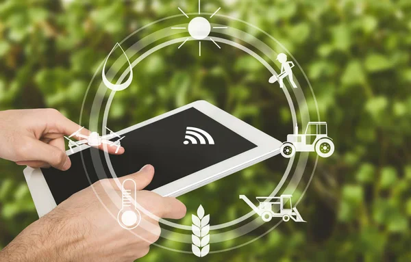 Smart farming, man with digital tablet in field