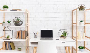 İskandinav iç konsepti