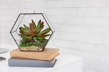 Florarium ve beyaz arka planda masada kitaplar