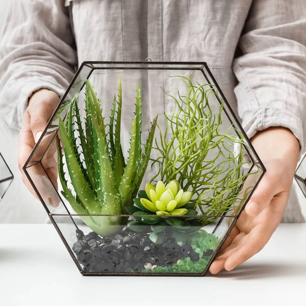 Wanita memegang florarium kaca — Stok Foto