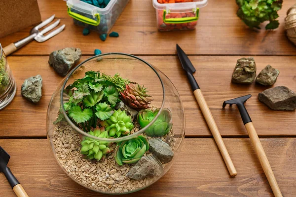 Set for home gardening concept — Stock Photo, Image