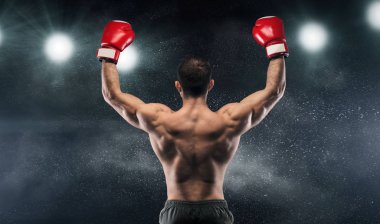 Boxer champion enjoying his victory on lights clipart