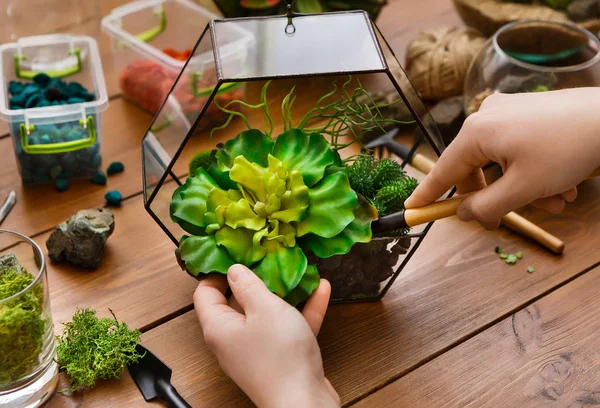 Home gardening concept — Stock Photo, Image