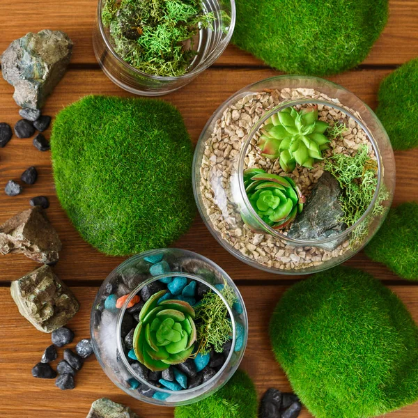 Florariums and moss stones on table — Stock Photo, Image