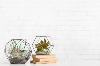 Florariums ve beyaz arka planda masada kitaplar