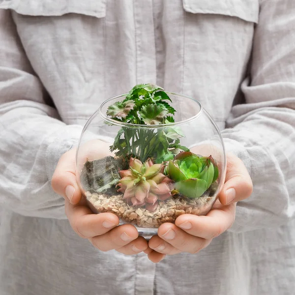 Woman holding glass florarium — Stock Photo, Image