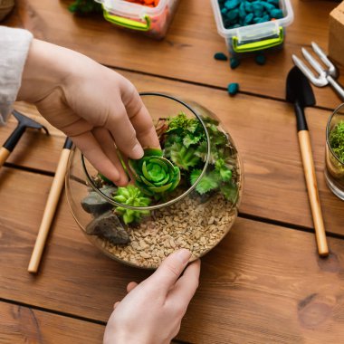 Ev Bahçe Master sınıf kavramı