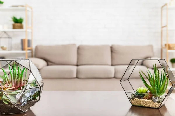 Escandinavo minimalista concepto de sala de estar, espacio de copia — Foto de Stock