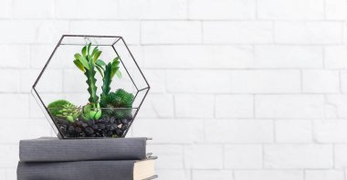 Florarium ve beyaz arka planda masada kitaplar