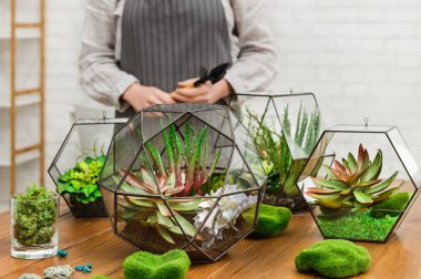 Florarium vazo seçin. Profesyonel çiçekçi konsepti
