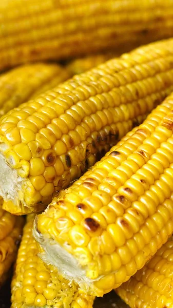 Fresh corncobs cooked at barbecue grill — Stock Photo, Image