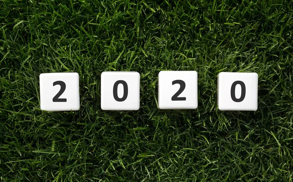 Текст Білий 2020 року на зеленому газоні на відкритому повітрі — стокове фото