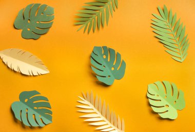 Summer yellow background with different leaves types clipart