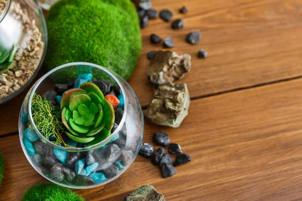 Composition of florariums and moss stones, copy space — Stock Photo, Image