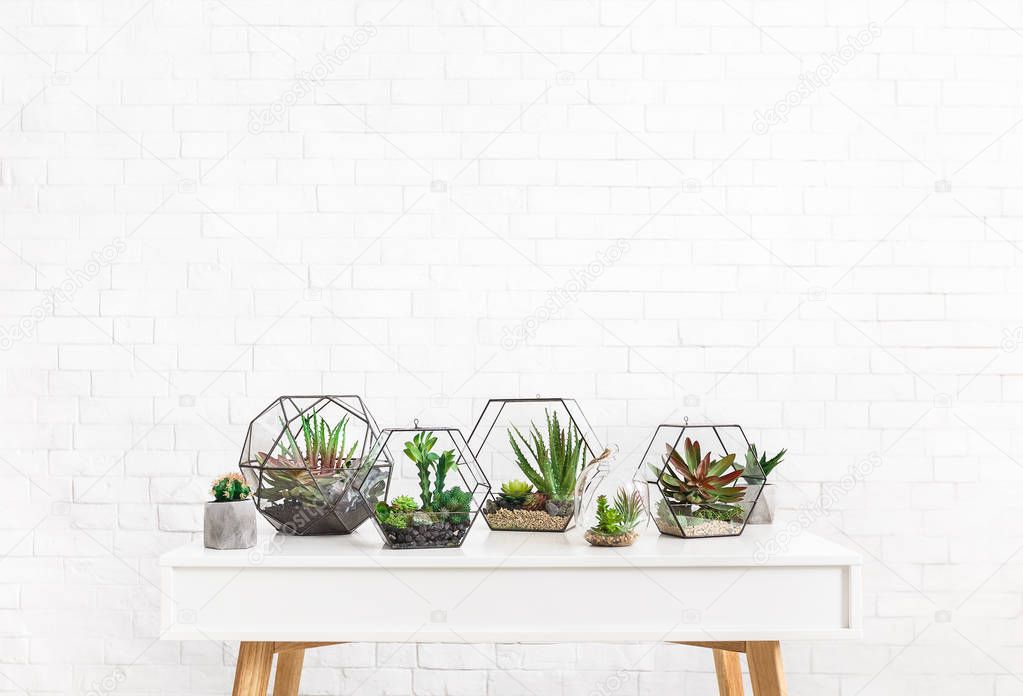 Composition of succulent plants on table, copy space