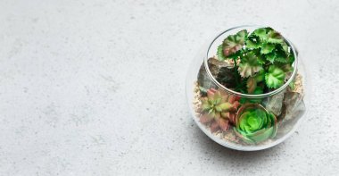 Mini ev bahçe konsepti, kopyalama alanı