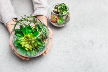 Cam florarium mini sulu bahçe tutan kadın elleri