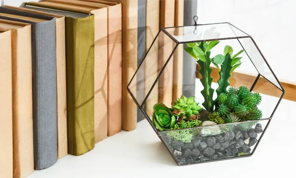本棚に植物を持つフローリウムの花瓶. — ストック写真