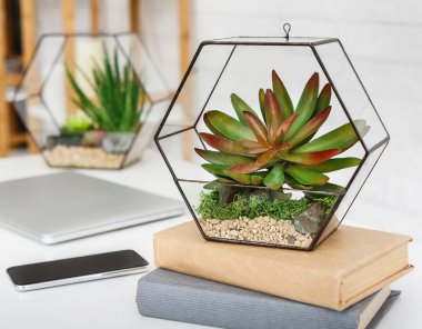 Florarium ve beyaz arka planda masada kitaplar