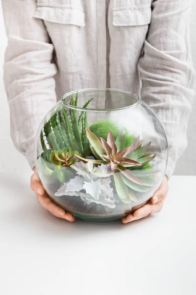 Жінка тримає скляну квіткову вазу з рослинами — стокове фото
