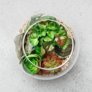 Ev mini bahçe konsepti, üst görünüm