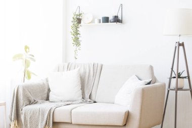 Konforlu mobilyalar ile oturma odası modern iç tasarım