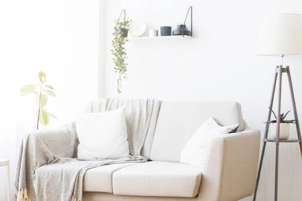 快適な家具とリビングルームのモダンなインテリアデザイン — ストック写真